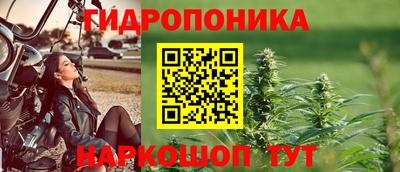 гидропоника Гусев