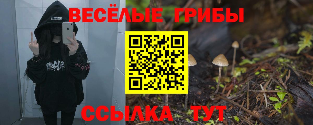Псилоцибиновые грибы Cubensis  Вход с VPN  Псилоцибиновые грибы мухоморы  Бийск 